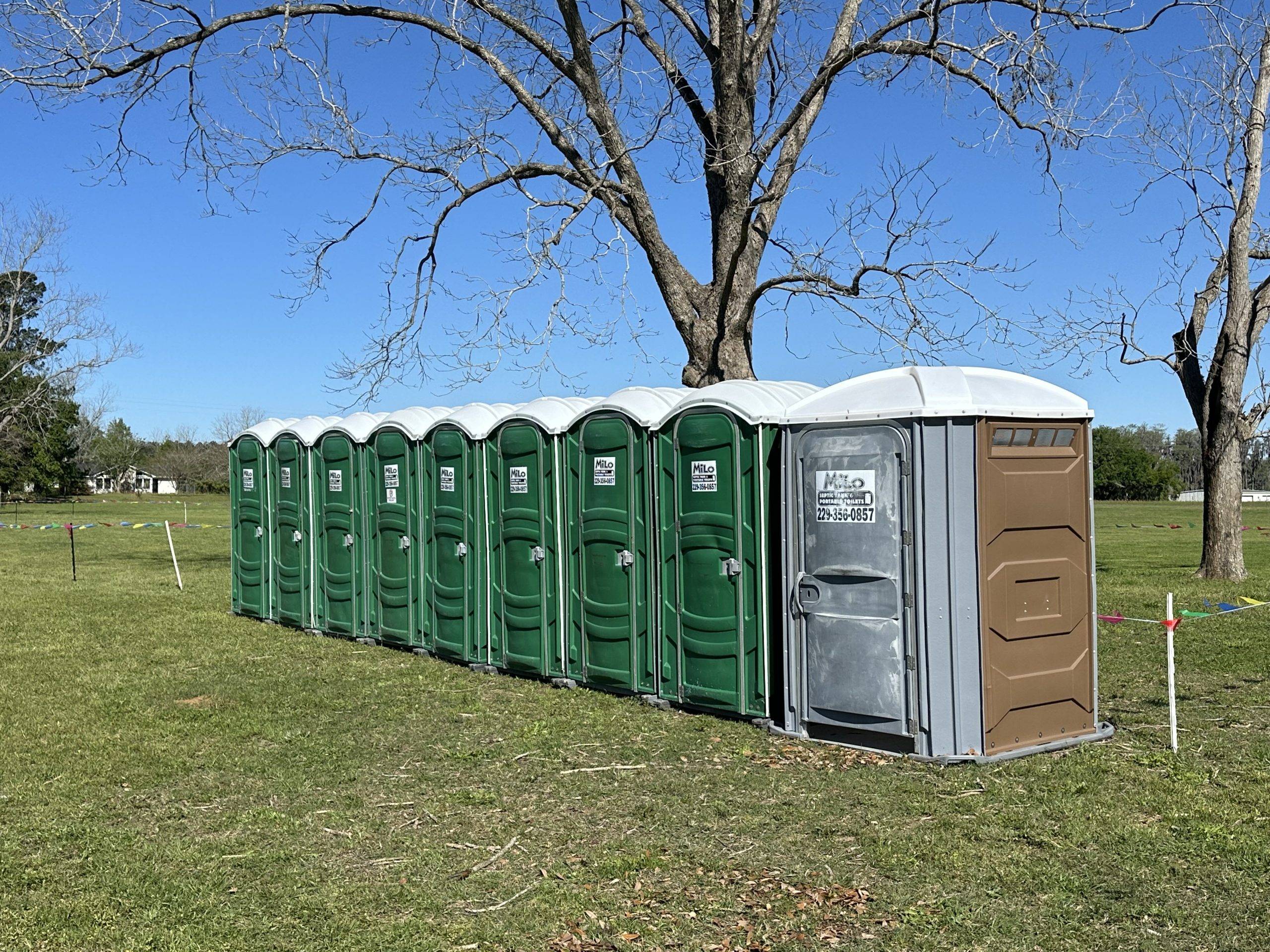 Img 1650